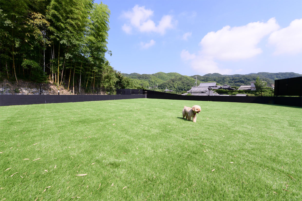 Dogrun 3